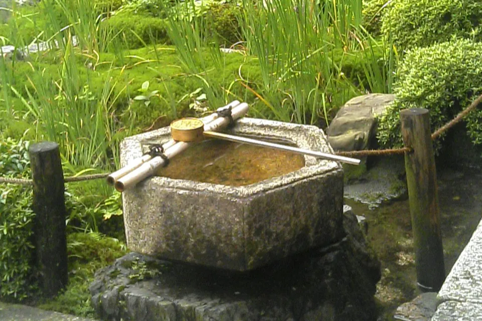 A stone water basin for washing hands at Tōfuku-ji, a Kyoto temple, with a bamboo spout among clipped shrubs and irises